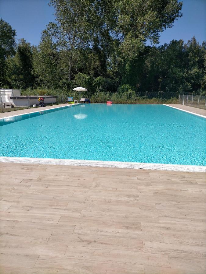 Seaside Flat With Swimming Pool And Private Parking Leilighet Calambrone Eksteriør bilde